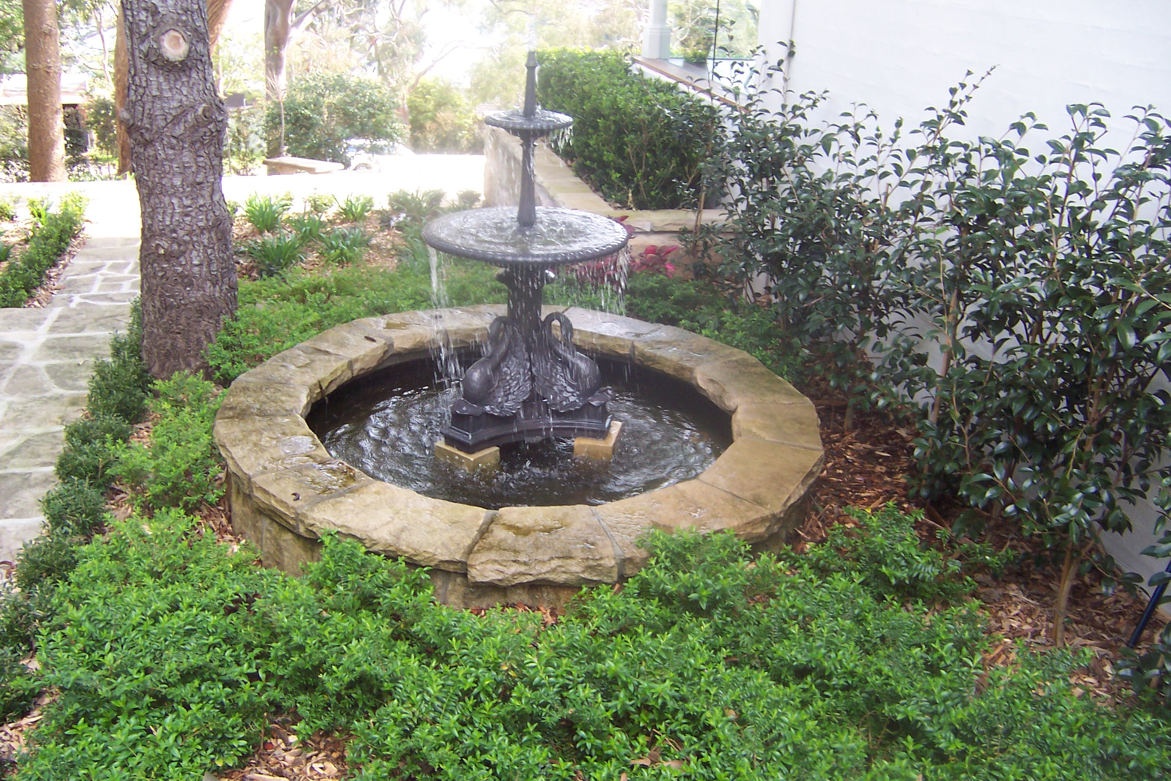 Fishponds/Waterfalls